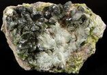 Lustrous, Epidote Crystal Cluster - Morocco #40877-1